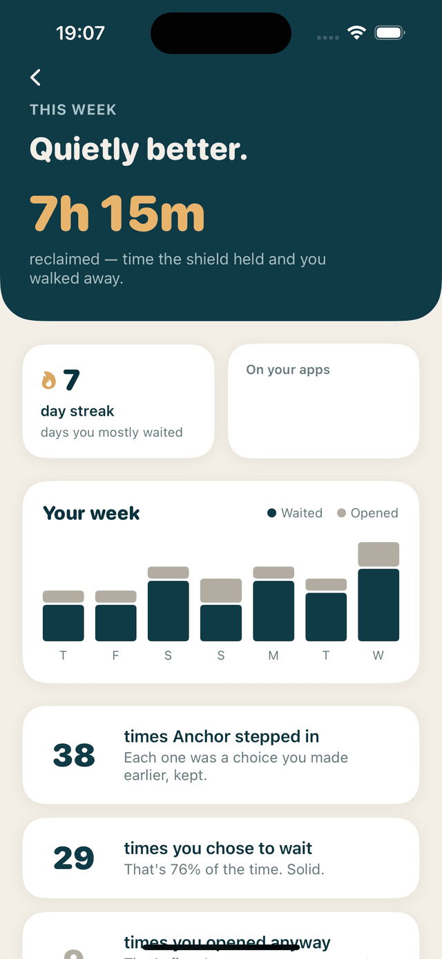 Anchor screenshot 4