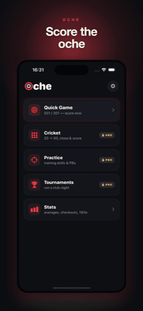 Oche screenshot 2